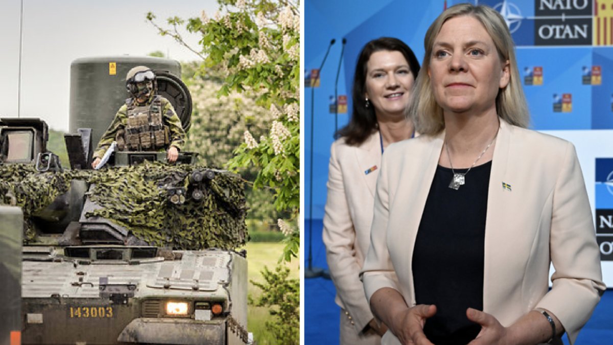 Försvarsmakten ser nu över hur Sverige kan bidra till Natos försvar. Flera nya uppdrag kan vänta svenska soldater.